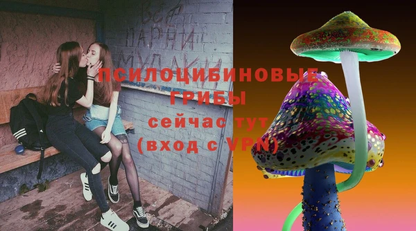 PSILOCYBIN Белоозёрский