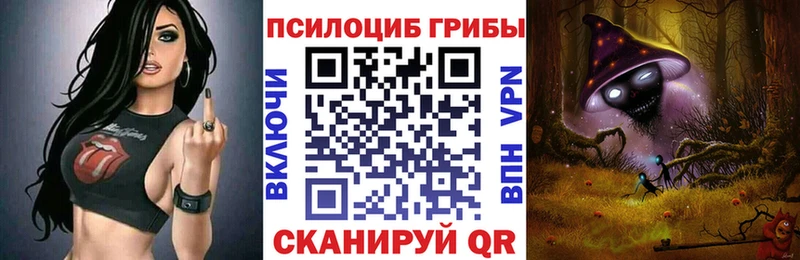 Псилоцибиновые грибы MAGIC MUSHROOMS  цена наркотик  omg tor  Гремячинск 